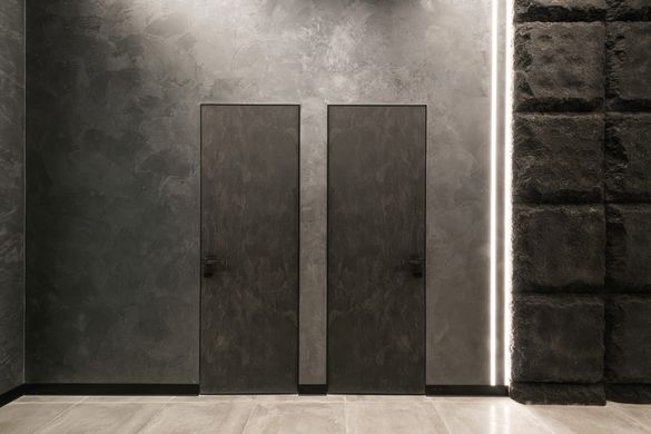 Двері прихованого монтажу Danapris Alum Wood 45 грунтовані профіль з чорним обкладом 00843 фото | Дорус