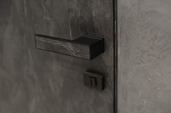Двери скрытого монтажа Danapris Alum Wood 45 грунтованные профиль с черным обкладом 00843 фото | Dorus