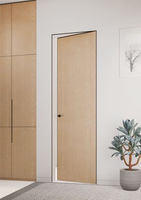 Двері прихованого монтажу Leoni door з анодованим сірим торцем та рамою 01332 фото | Дорус