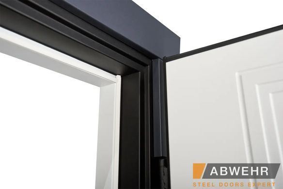 Вхідні двері ABWEHR 569/570 Enigma 02338 фото | Дорус