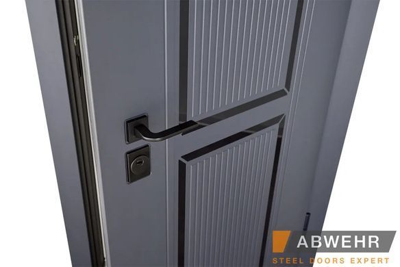 Вхідні двері ABWEHR 569/570 Enigma 02338 фото | Дорус