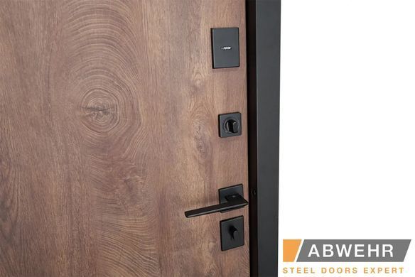 Входные двери ABWEHR 572/0 Riviera 02340 фото | Dorus