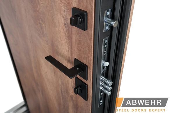 Входные двери ABWEHR 572/0 Riviera 02340 фото | Dorus