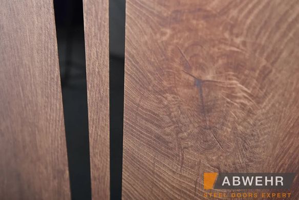 Входные двери ABWEHR 572/0 Riviera 02340 фото | Dorus