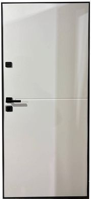 Вхідні двері Artiz СТ-107 02643 фото | Дорус