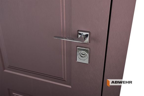 Входные двери ABWEHR 509/520 Ramina 00665 фото | Dorus
