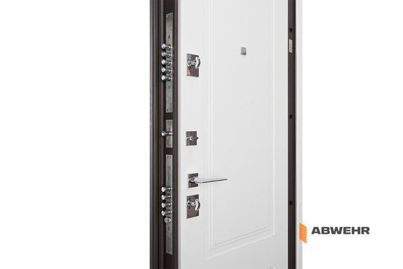 Входные двери ABWEHR 509/520 Ramina 00665 фото | Dorus
