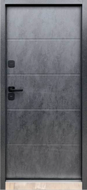 Вхідні двері Portalino Steel Doors SD - 101 02751 фото | Дорус