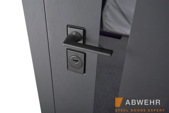 Входные двери ABWEHR 515/0 Stella Grand 01542 фото | Dorus