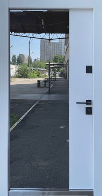 Вхідні двері STRAJ OLiLine S 02802 фото | Дорус
