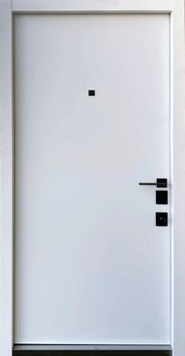Вхідні двері STRAJ OLiLine S 02803 фото | Дорус