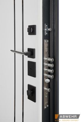 Вхідні двері ABWEHR 550/551 Lorena 01683 фото | Дорус