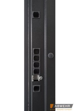 Вхідні двері ABWEHR 550/551 Lorena 01683 фото | Дорус
