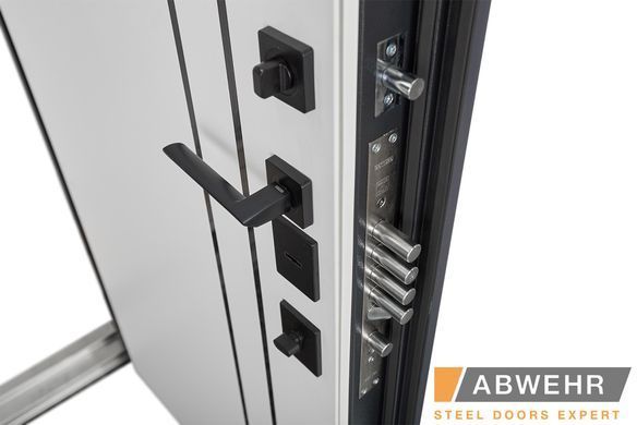 Вхідні двері ABWEHR 550/551 Lorena 01683 фото | Дорус