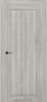 Міжкімнатні двері Leador Premium SP Gold-01 02906 фото | Дорус