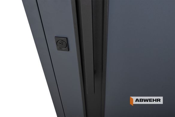 Вхідні двері ABWEHR 591 Pulse 02806 фото | Дорус