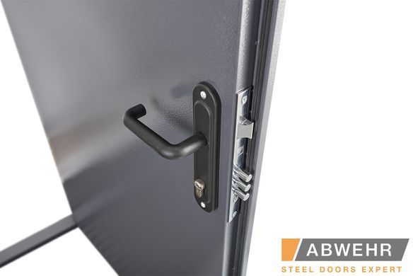 Входные двери ABWEHR Storage (ST) без наличника 01549 фото | Dorus