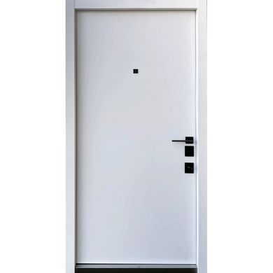 Вхідні двері STRAJ LUX Prestige Delica AL Mono 00725 фото | Дорус