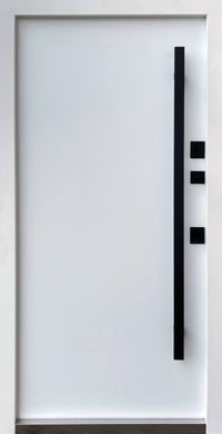 Входные двери Qdoors Спейс улица + + ручка-скоба 02677 фото | Dorus