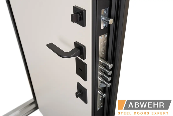 Вхідні двері ABWEHR 580 Violetta 02577 фото | Дорус